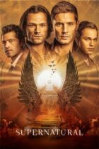 Supernatural (2005-)