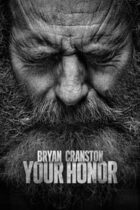 Your Honor (2020-)