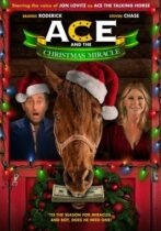 Ace & the Christmas Miracle (2021)