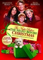 The Night Before the Night Before Christmas (2010)