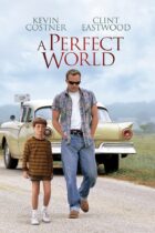A Perfect World (1993)