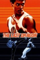 The Last Dragon (1985)
