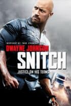 Snitch (2013)