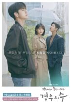 More Than Friends / Kyungwooui Soo (2020)