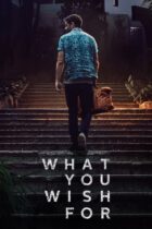 What You Wish For (2023)